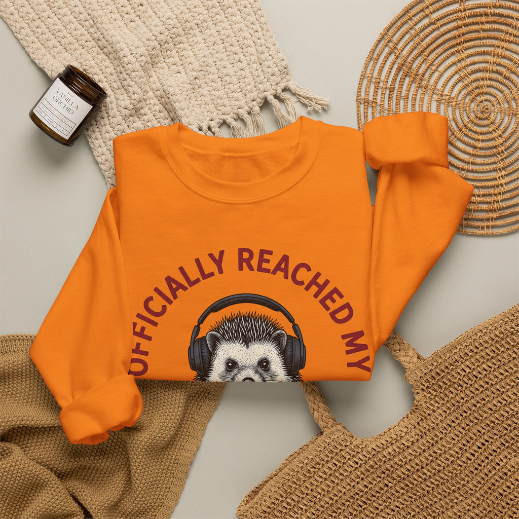 Hedgehog Headphones Sweatshirt Moms Animal Gift Women Quirky Sweatshirt Earphones Sweatshirt Mother Fan Earbud Graphic Retro Sweatshirt Vintage Sweatshirt Sweatshirt