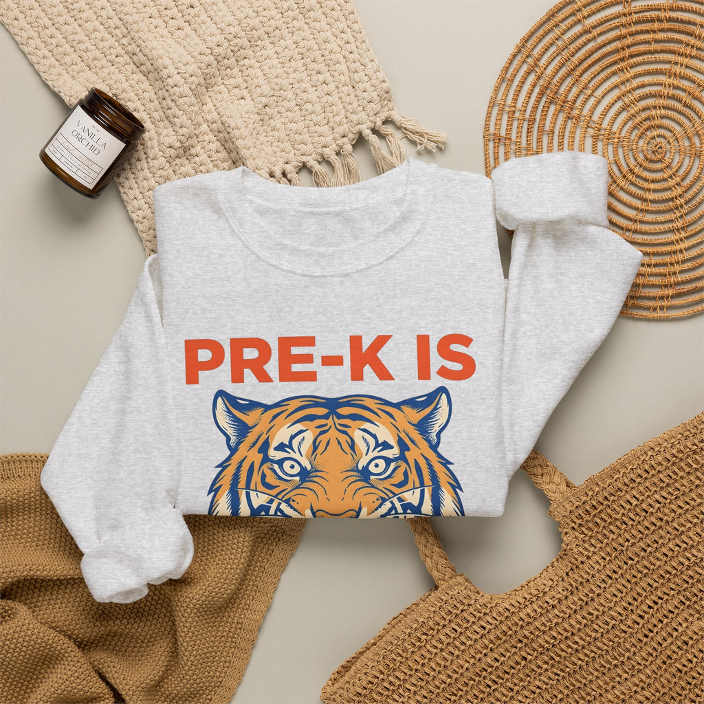 Tiger Head Teachers Classroom Gift Modern Tiger Educator Enthusiast Sweatshirt