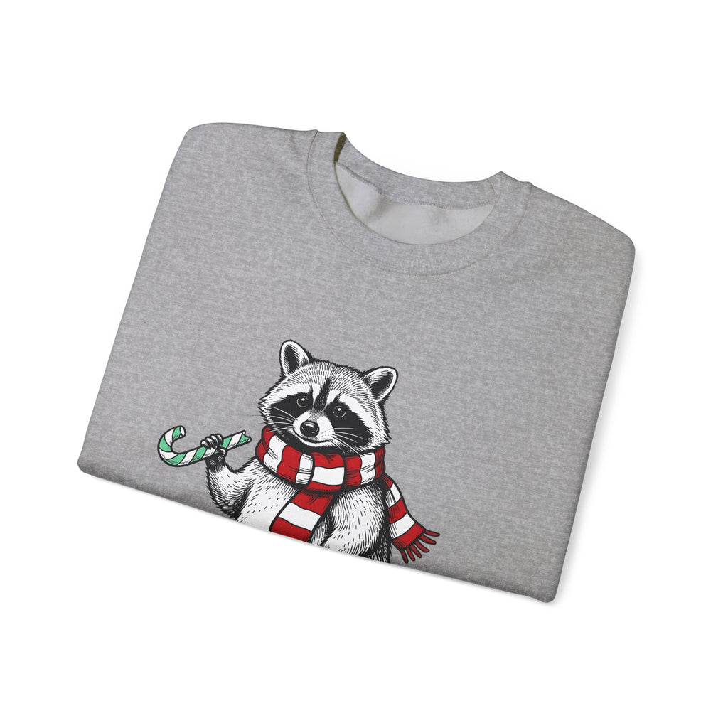 Raccoon Illustration Sweatshirt Animals Holiday Gift Women Sketch Sweatshirt Trash Panda Sweatshirt Wildlife Fan Drawing Graphic Christmas Retro Peppermint