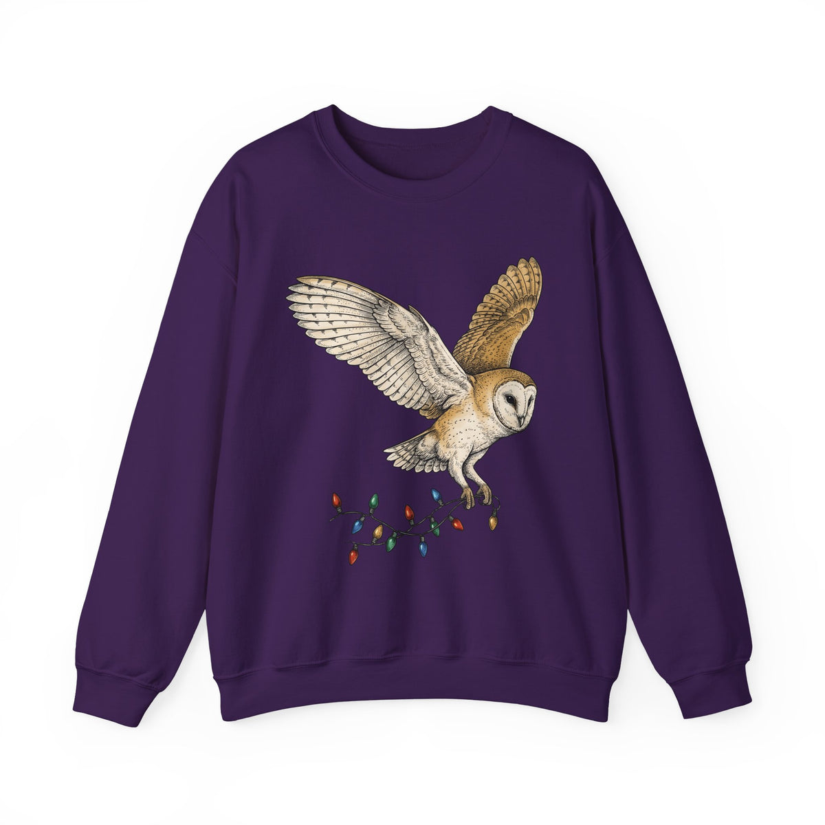 Barn Owl Sweatshirt Christmas Pets Gift Women Cartoon Sweatshirt Owl Sweatshirt Xmas Fan Owl Sweatshirt Animal Graphic Classic Globe Lights Sweatshirt