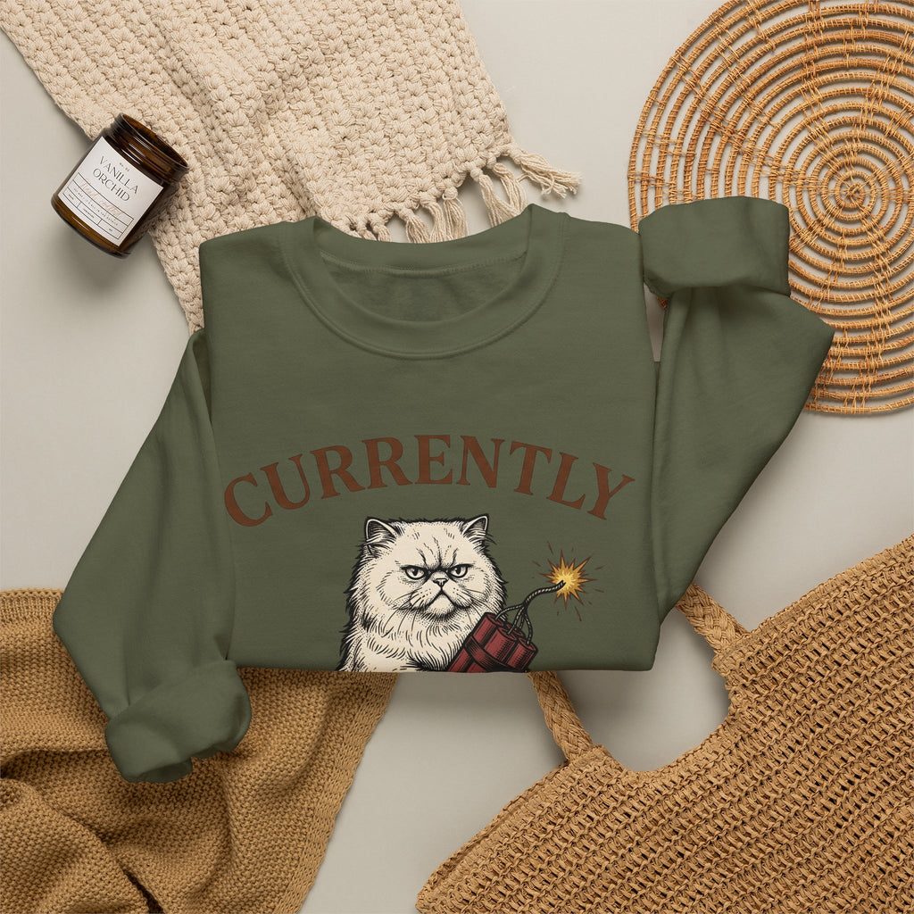 Upset Cat Sweatshirt Funny Wildlife Gift Women Old School Sweatshirt Angry Cat Sweatshirt Humor Fan Vintage Sweatshirt Animal Graphic Doodle Explosion Sweatshirt