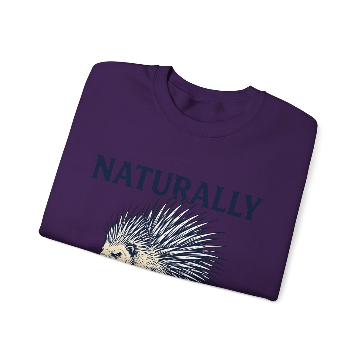 Porcupine Sweatshirt Animal Pun Humor Gift Women Hand Drawn Sweatshirt Hedgehog Sweatshirt Pun Fan Hand Drawn Sweatshirt Funny Graphic Vintage Quills Sweatshirt