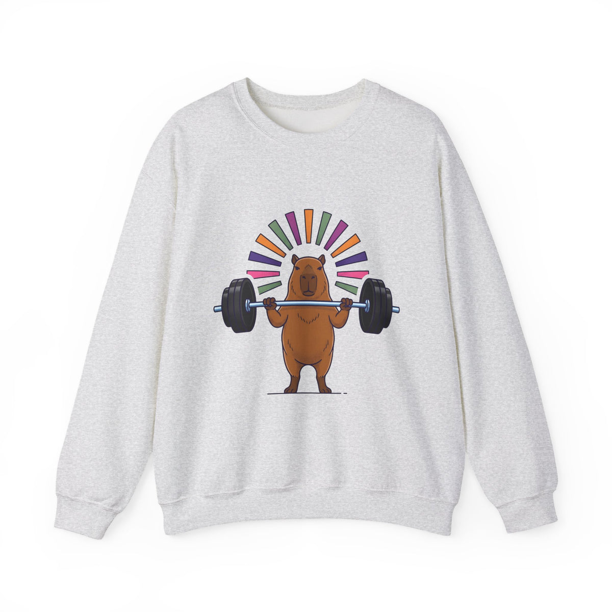 Capybara Gym Training Sweatshirt Sports Pets Gift Women Hand Drawn Sweatshirt Rodent Sweatshirt Athlete Enthusiast Illustrated Pet Graphic Classic Rainbow