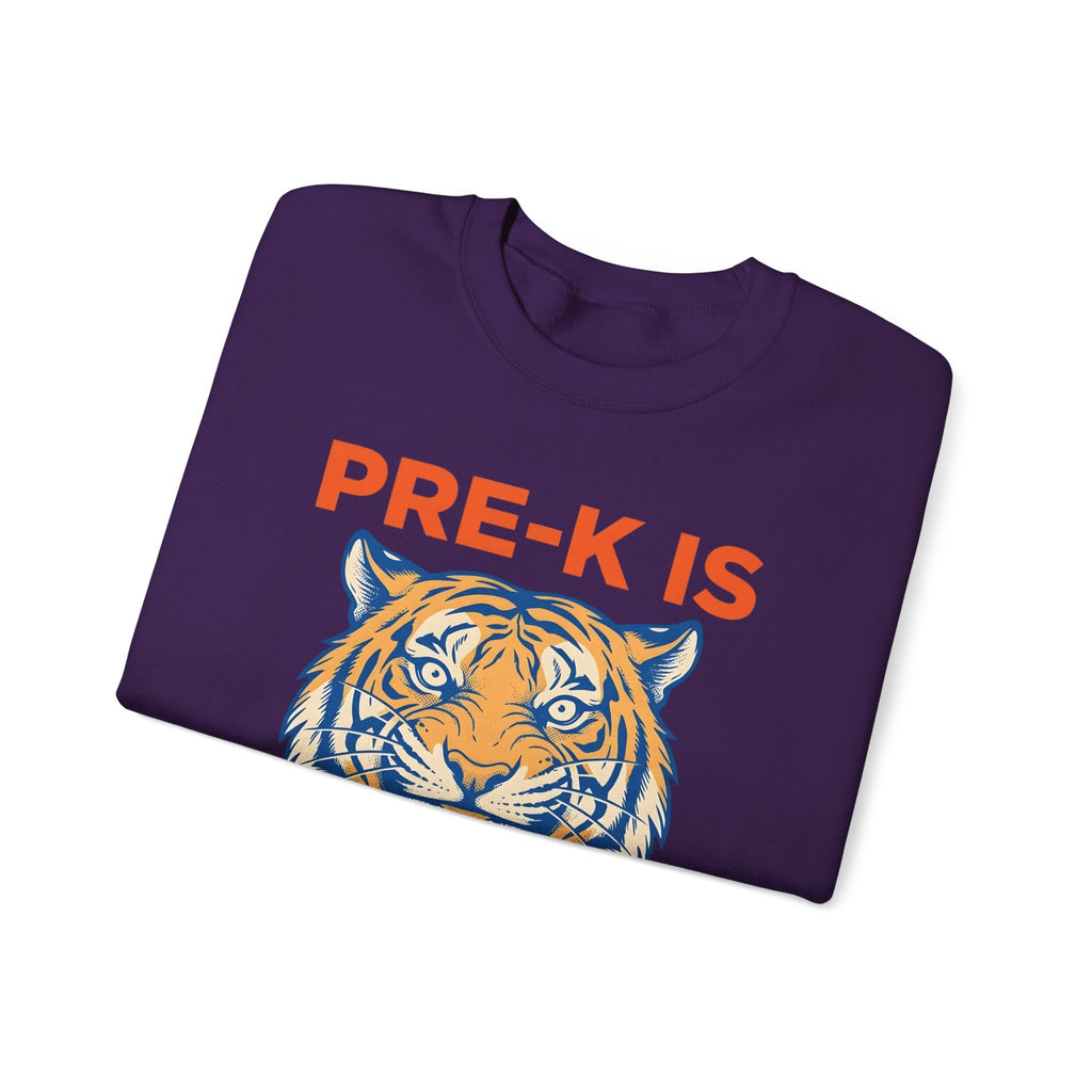 Tiger Head Teachers Classroom Gift Modern Tiger Educator Enthusiast Sweatshirt