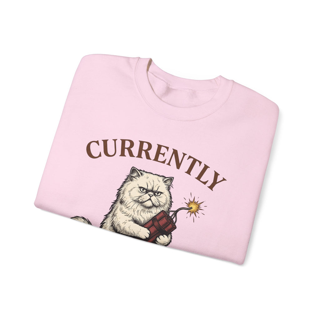 Upset Cat Sweatshirt Funny Wildlife Gift Women Old School Sweatshirt Angry Cat Sweatshirt Humor Fan Vintage Sweatshirt Animal Graphic Doodle Explosion Sweatshirt