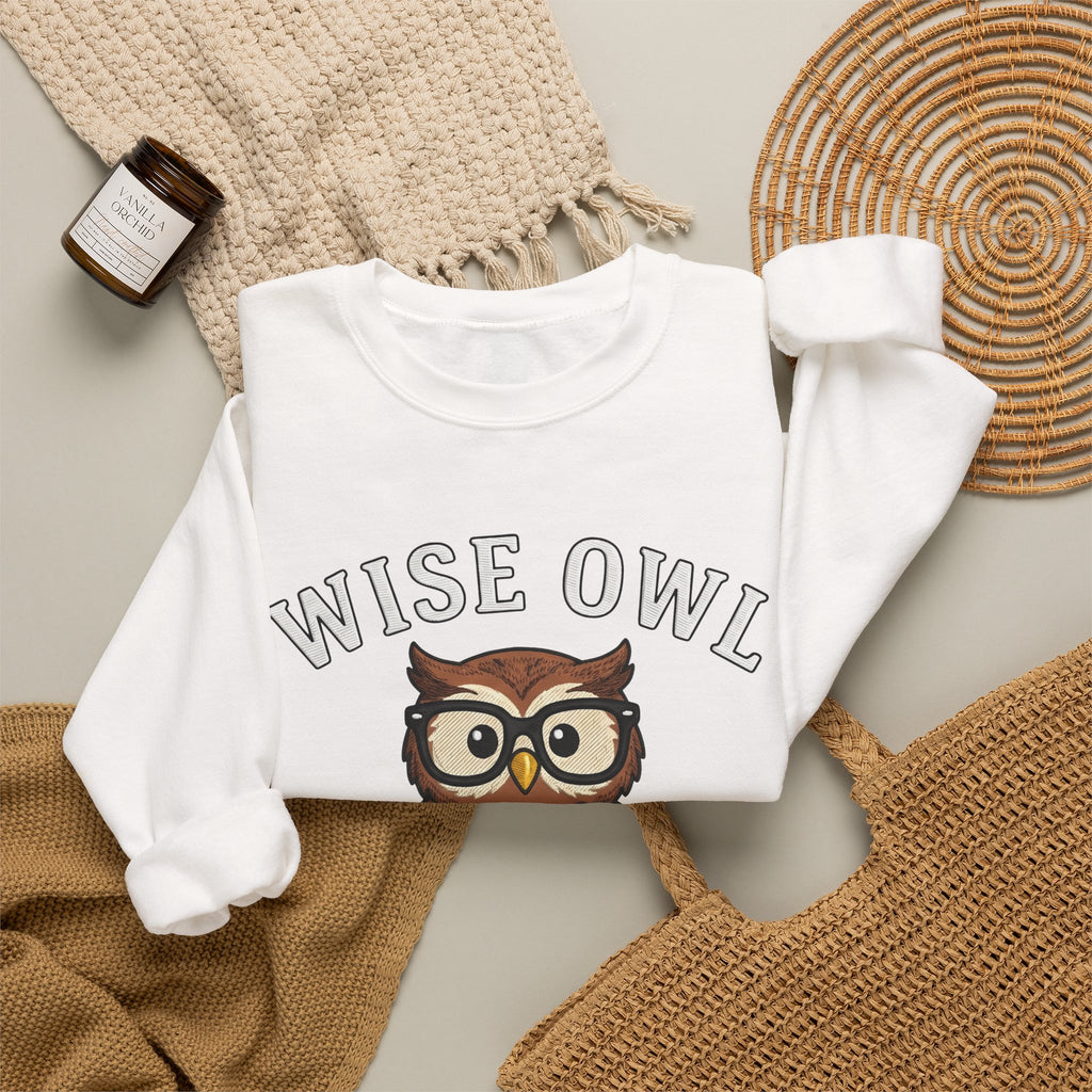 Owl Glasses Sweatshirt Teachers Education Gift Women Cartoon Sweatshirt Spectacles Sweatshirt Educator Enthusiast Comic Sweatshirt Learning Graphic Vintage
