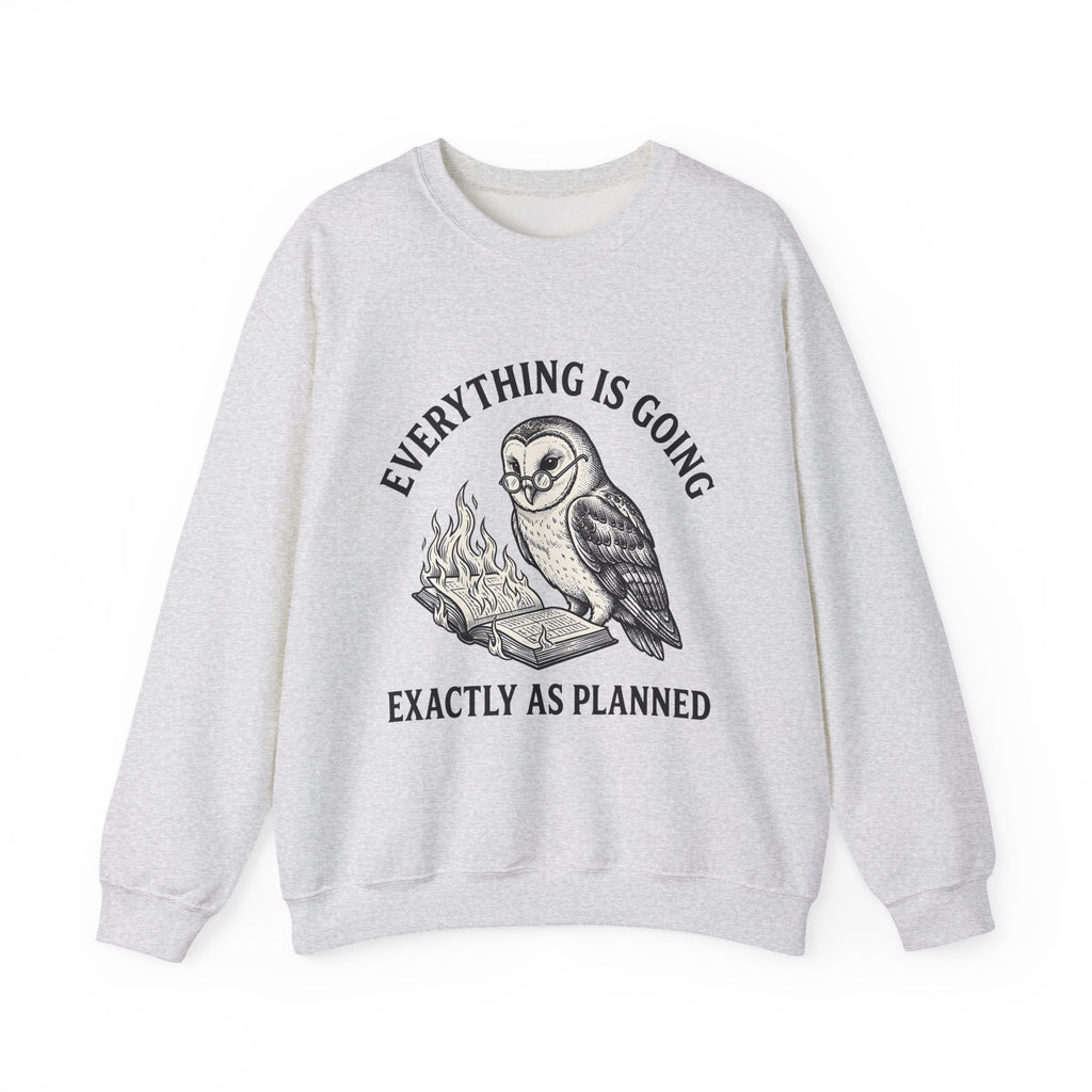 Owl Eyeglasses Sweatshirt Funny Critters Gift Women Old-Fashioned Sweatshirt Owl Sweatshirt Humor Fan Vintage Sweatshirt Creature Graphic Outline Blazing Book