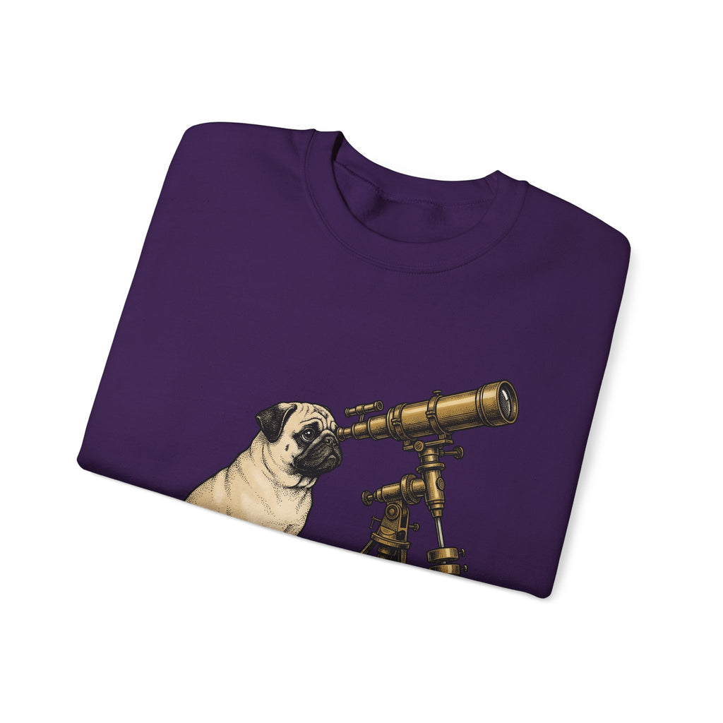 Pug Puppy Sweatshirt Dog Space Gift Women Retro Sweatshirt Puppy Sweatshirt Dog Fan Canine Sweatshirt Vintage Graphic Astronomy Illustration Sketch Binoculars