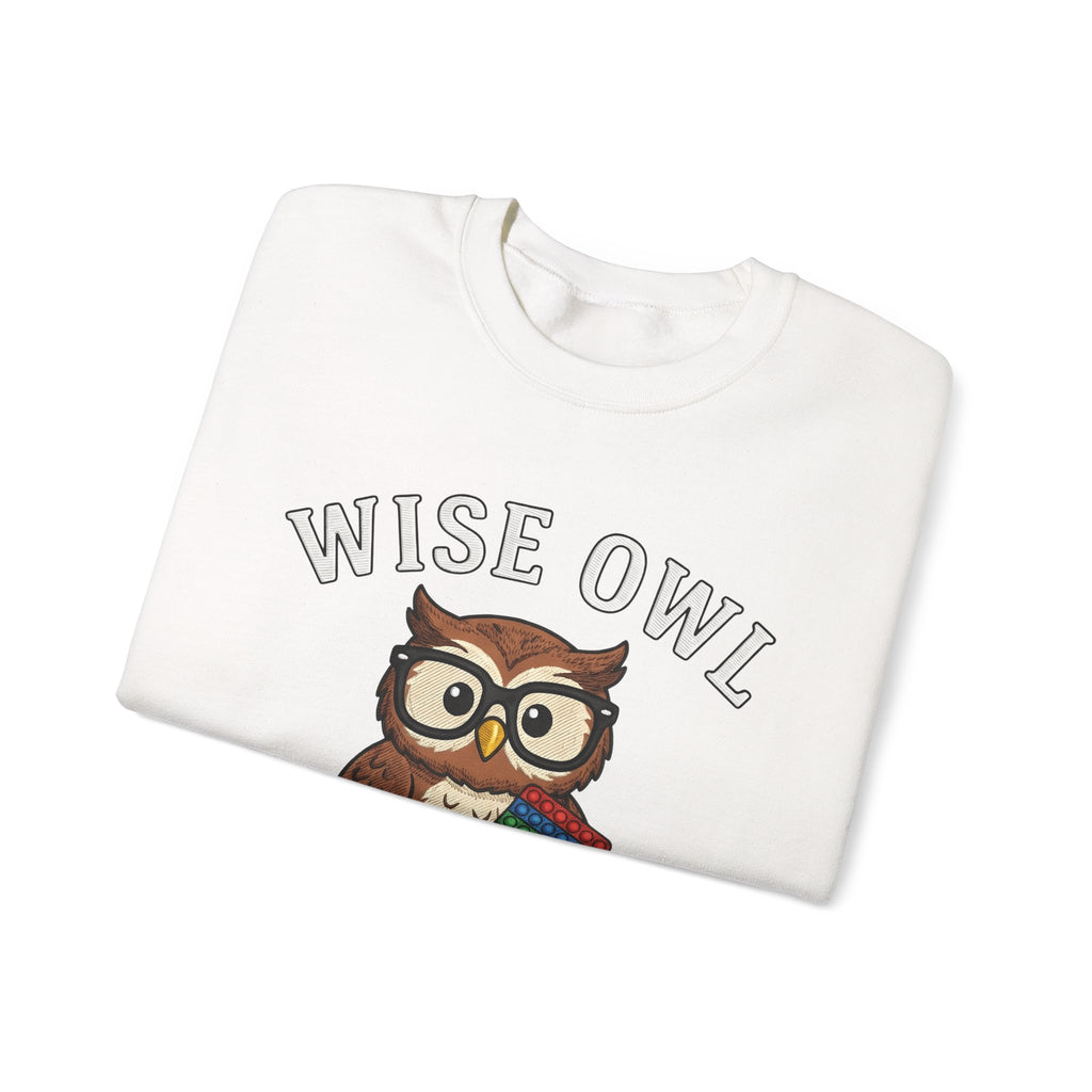 Owl Glasses Sweatshirt Teachers Education Gift Women Cartoon Sweatshirt Spectacles Sweatshirt Educator Enthusiast Comic Sweatshirt Learning Graphic Vintage