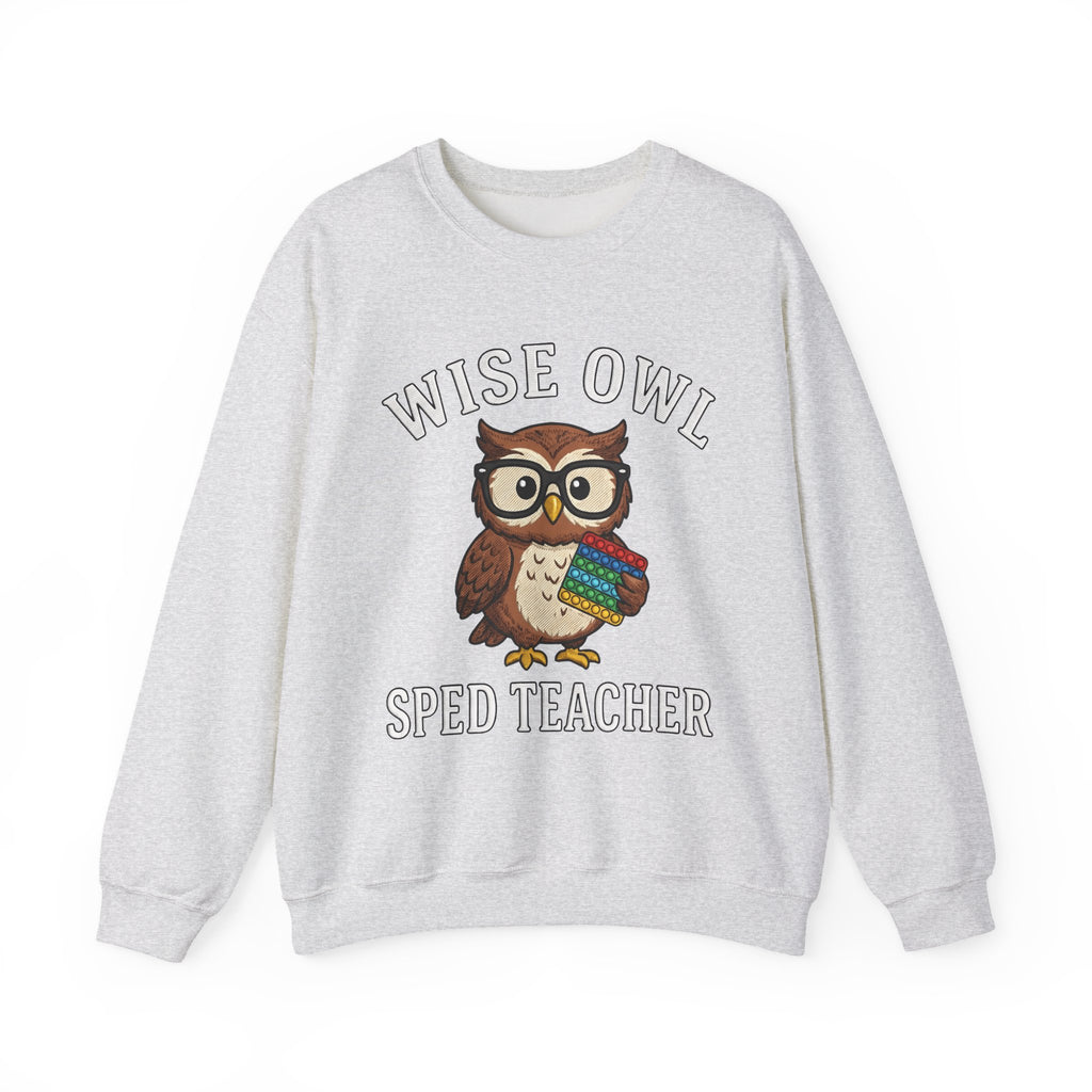Owl Glasses Sweatshirt Teachers Education Gift Women Cartoon Sweatshirt Spectacles Sweatshirt Educator Enthusiast Comic Sweatshirt Learning Graphic Vintage