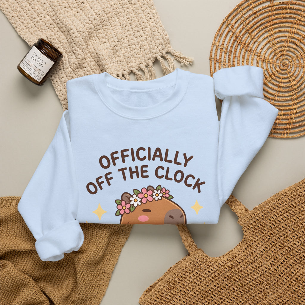 Capybara Coffee Sweatshirt Nurses Animal Gift Women Cute Sweatshirt Coffee Sweatshirt Nurse Enthusiast Adorable Sweatshirt Wildlife Graphic Cartoon Daisies