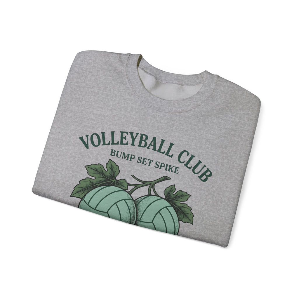 Volleyballs Sweatshirt Volleyball Crew Gift Women Sketch Sweatshirt Beachball Sweatshirt Volleyball Fan Volleyball Drawing Graphic Sweatshirt Line Art Whistles