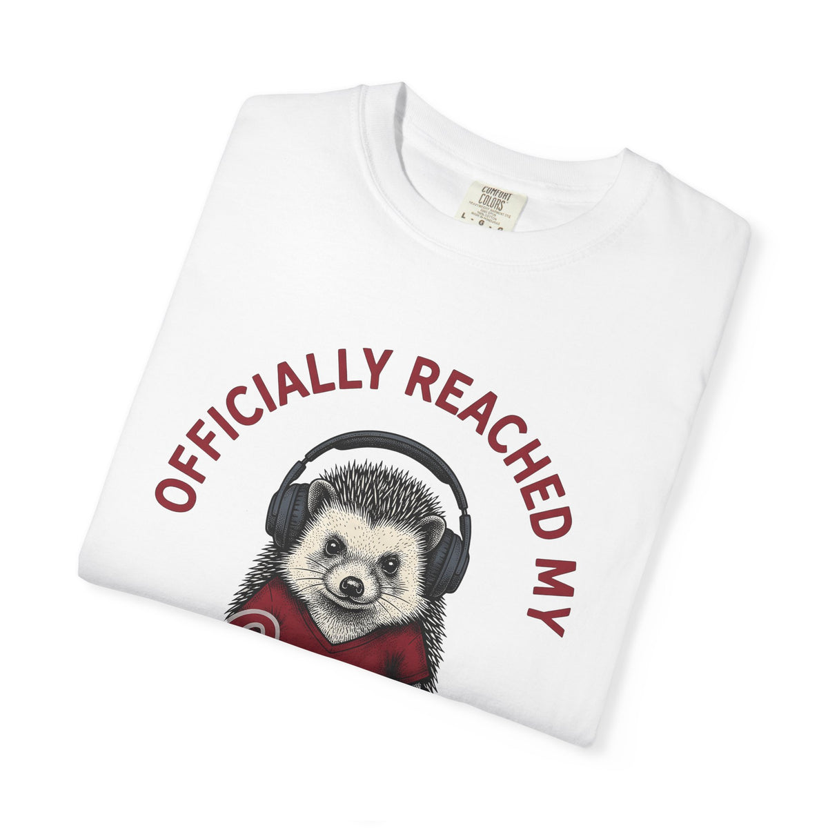 Hedgehog Headphones T-Shirt Moms Animal Gift Women Quirky T-Shirt Earphones T-Shirt Mother Fan Earbud Graphic Retro T-Shirt Vintage T-Shirt T-Shirt