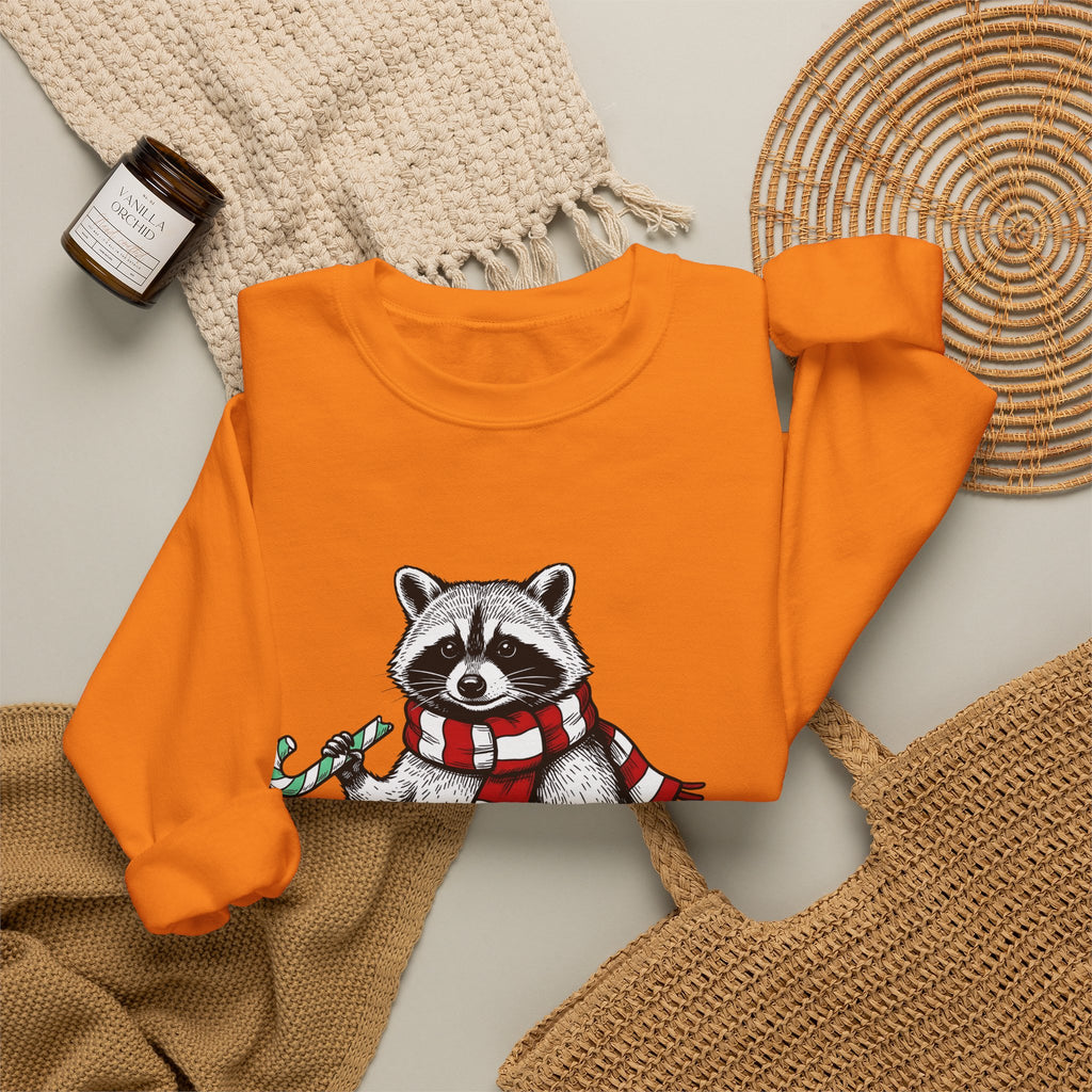 Raccoon Illustration Sweatshirt Animals Holiday Gift Women Sketch Sweatshirt Trash Panda Sweatshirt Wildlife Fan Drawing Graphic Christmas Retro Peppermint