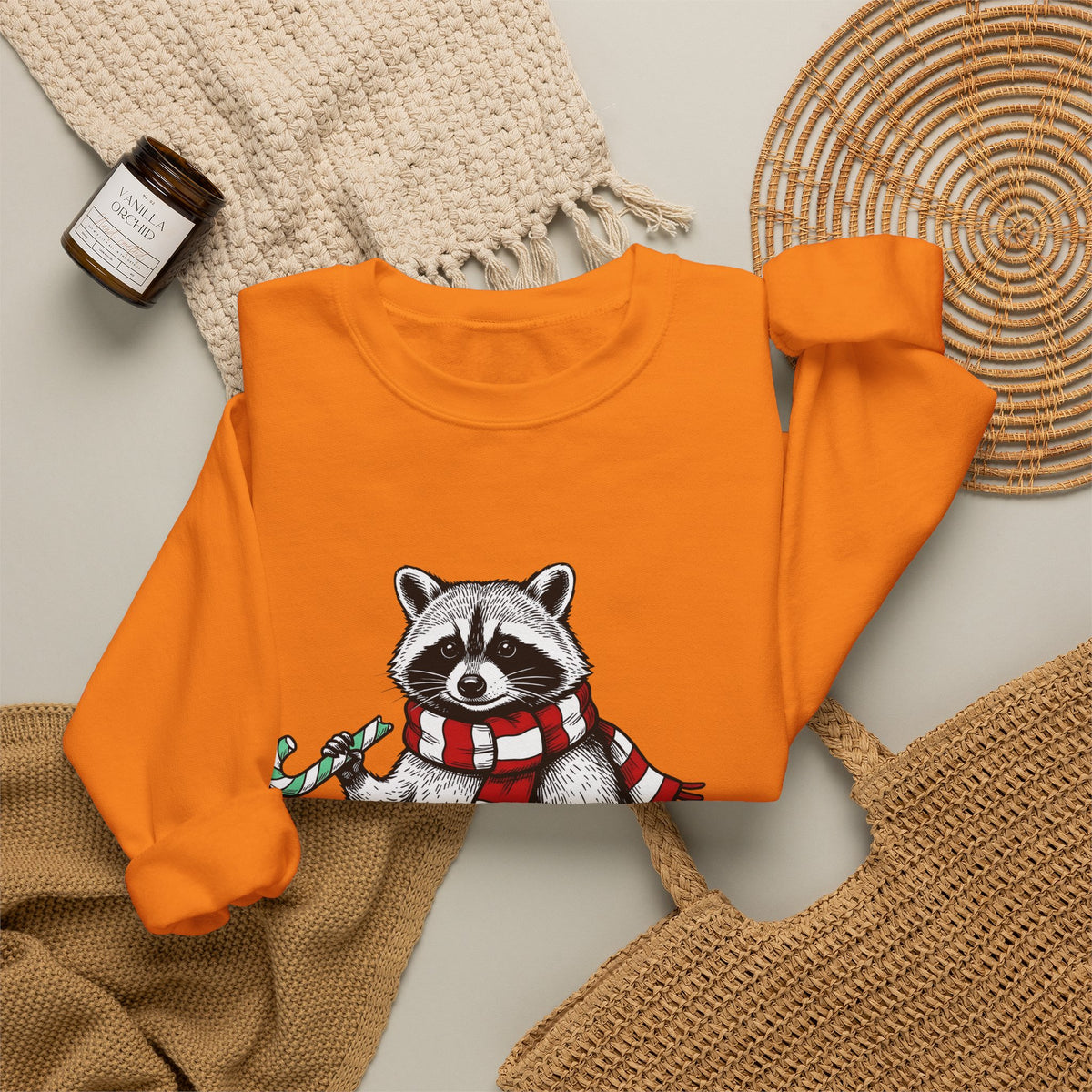 Raccoon Illustration Sweatshirt Animals Holiday Gift Women Sketch Sweatshirt Trash Panda Sweatshirt Wildlife Fan Drawing Graphic Christmas Retro Peppermint