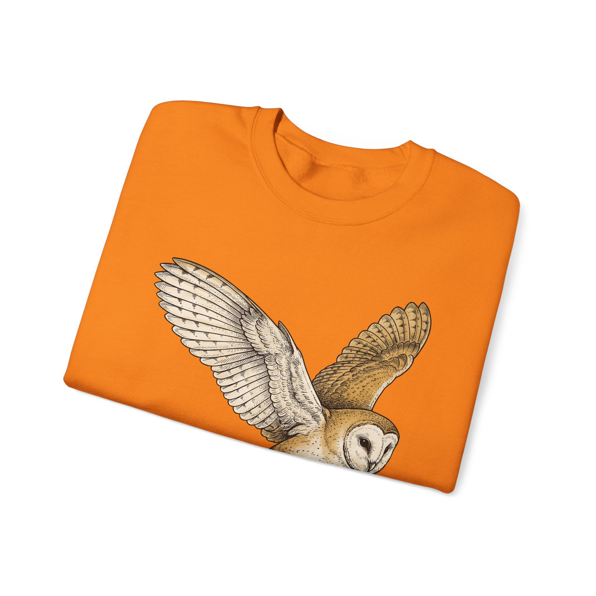 Barn Owl Sweatshirt Christmas Pets Gift Women Cartoon Sweatshirt Owl Sweatshirt Xmas Fan Owl Sweatshirt Animal Graphic Classic Globe Lights Sweatshirt