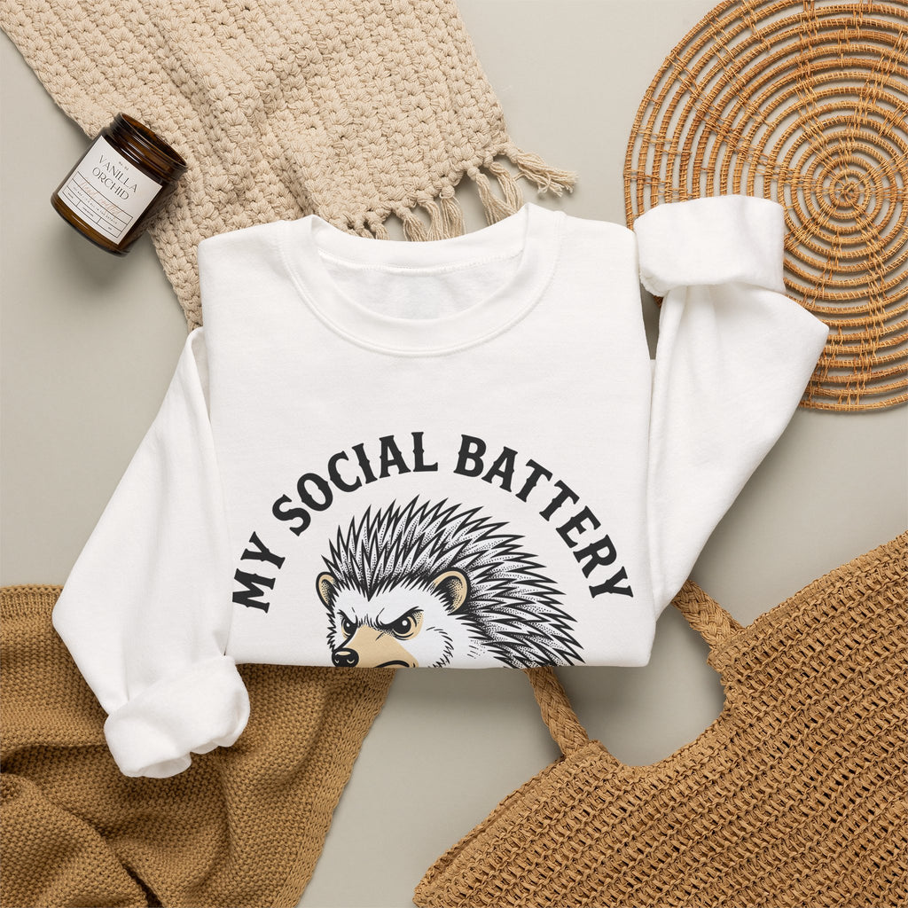 Mad Porcupine Sweatshirt Funny Wildlife Gift Women Comic Sweatshirt Porcupine Sweatshirt Humor Fan Cartoon Sweatshirt Animal Graphic Retro Patterned Necktie