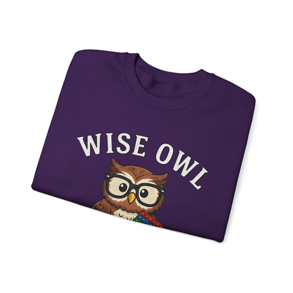 Owl Glasses Sweatshirt Teachers Education Gift Women Cartoon Sweatshirt Spectacles Sweatshirt Educator Enthusiast Comic Sweatshirt Learning Graphic Vintage