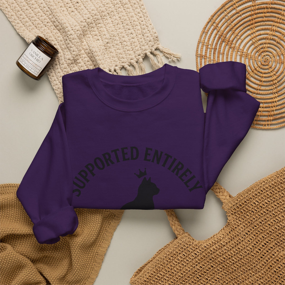 Cat Outline Sweatshirt Cat Animal Gift Women Simple Sweatshirt Kitten Sweatshirt Cat Fan Feline Sweatshirt Creature Graphic Retro Tiara Sweatshirt