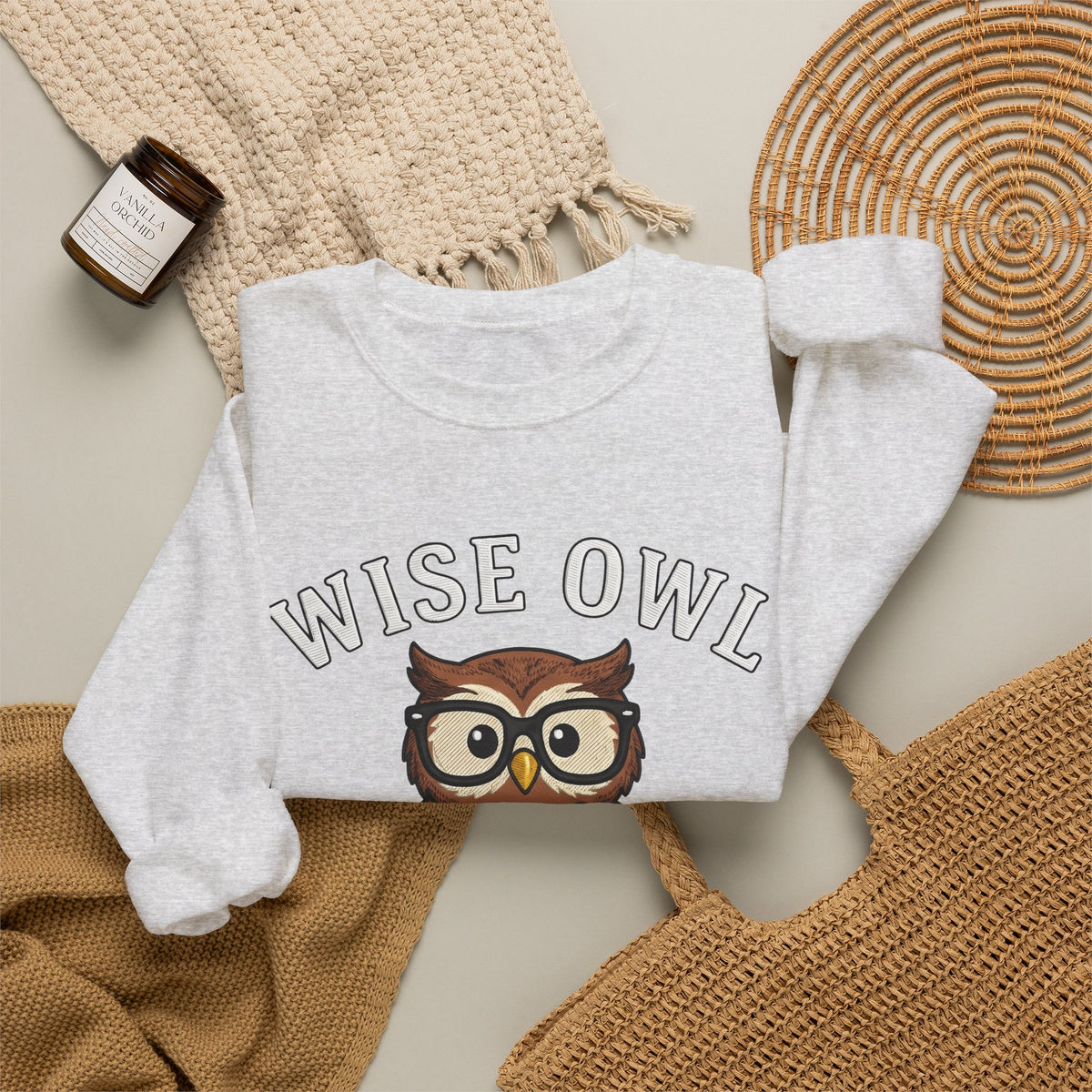 Owl Glasses Sweatshirt Teachers Education Gift Women Cartoon Sweatshirt Spectacles Sweatshirt Educator Enthusiast Comic Sweatshirt Learning Graphic Vintage