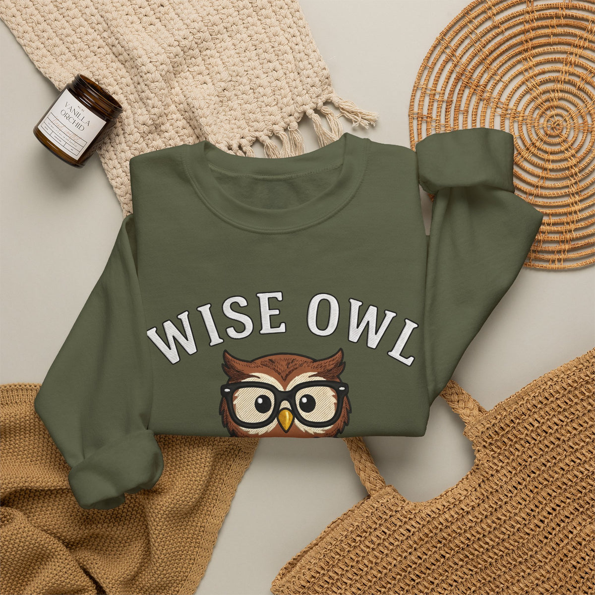 Owl Glasses Sweatshirt Teachers Education Gift Women Cartoon Sweatshirt Spectacles Sweatshirt Educator Enthusiast Comic Sweatshirt Learning Graphic Vintage