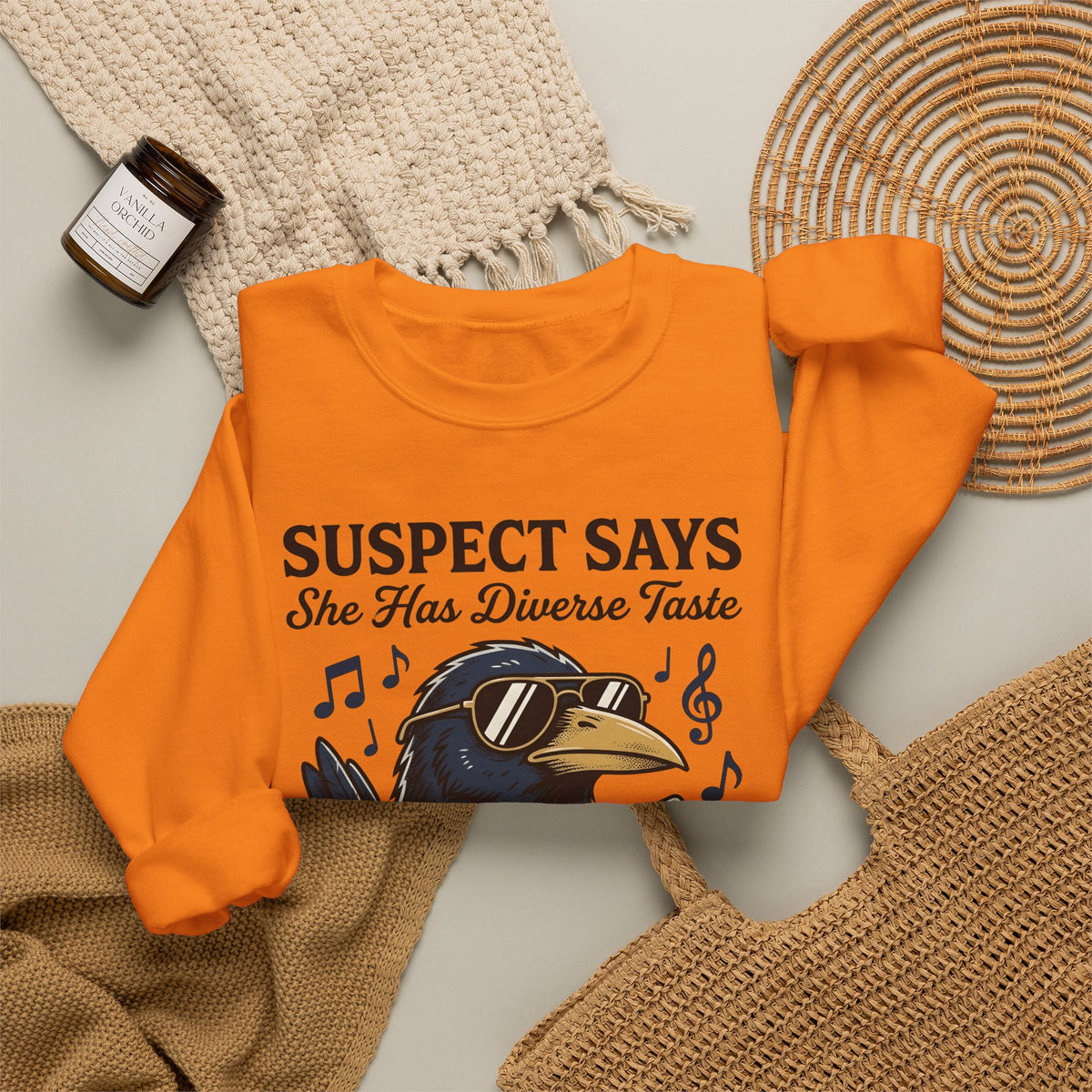 Hip Raven Sweatshirt Funny Song Gift Women Comic Sweatshirt Raven Sweatshirt Humor Fan Cartoon Sweatshirt Melody Graphic Vintage Tape Deck Sweatshirt
