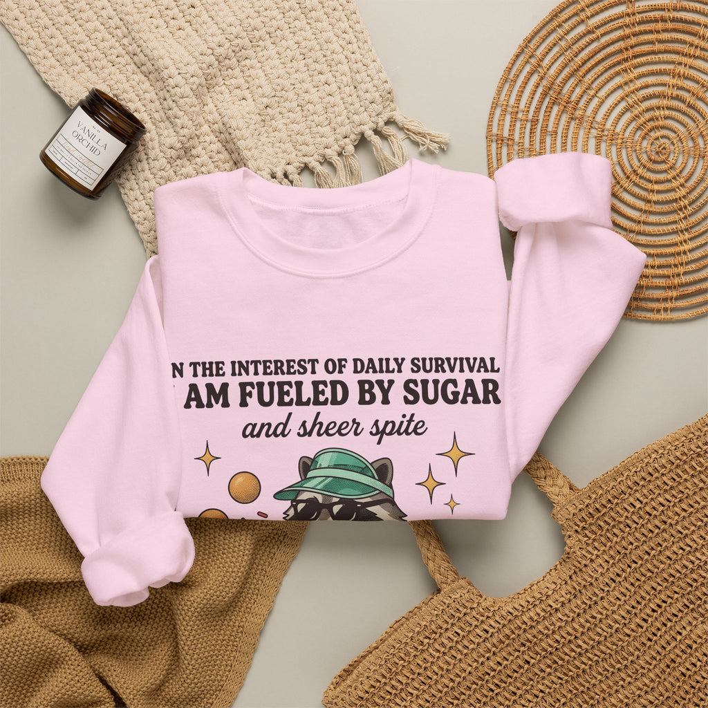 Raccoon Pastry Sweatshirt Desserts Wildlife Gift Women Comic Sweatshirt Pastry Chef Sweatshirt Sweets Fan Cartoon Sweatshirt Animal Graphic Vintage Candy Dots