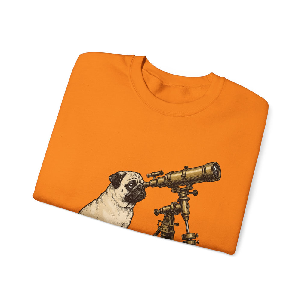 Pug Puppy Sweatshirt Dog Space Gift Women Retro Sweatshirt Puppy Sweatshirt Dog Fan Canine Sweatshirt Vintage Graphic Astronomy Illustration Sketch Binoculars