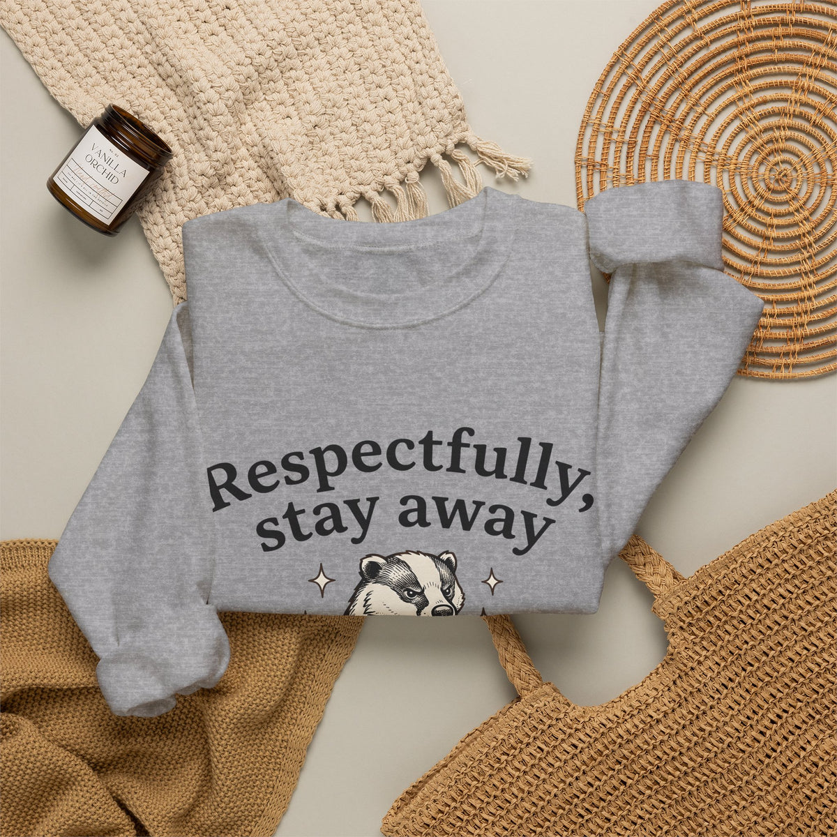 Badger Bow Accessory Sweatshirt Funny Fauna Gift Women Cartoon Sweatshirt Hair Bow Sweatshirt Humor Fan Comic Sweatshirt Wildlife Graphic Old School Glimmers