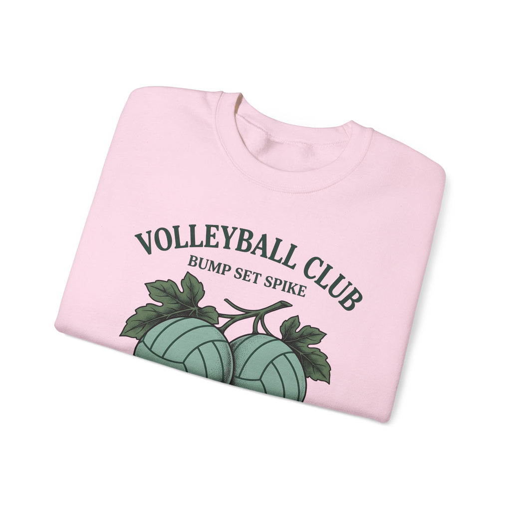 Volleyballs Sweatshirt Volleyball Crew Gift Women Sketch Sweatshirt Beachball Sweatshirt Volleyball Fan Volleyball Drawing Graphic Sweatshirt Line Art Whistles