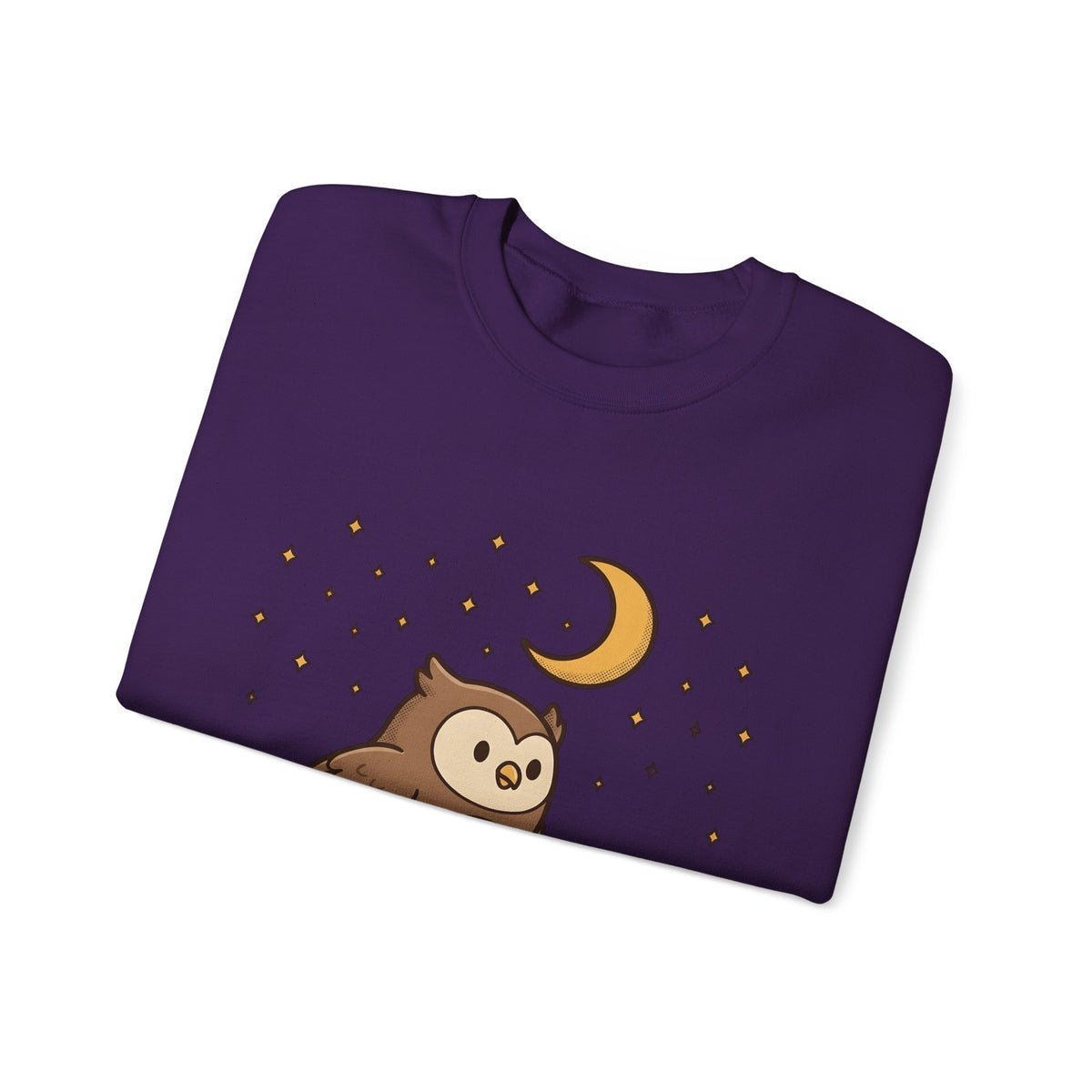 Owl Skating Shoes Sweatshirt Sports Creatures Gift Women Kawaii Sweatshirt Roller Skates Sweatshirt Athlete Fan Animal Graphic Sweatshirt Classic Music Player