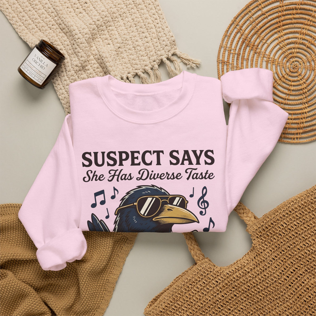 Hip Raven Sweatshirt Funny Song Gift Women Comic Sweatshirt Raven Sweatshirt Humor Fan Cartoon Sweatshirt Melody Graphic Vintage Tape Deck Sweatshirt