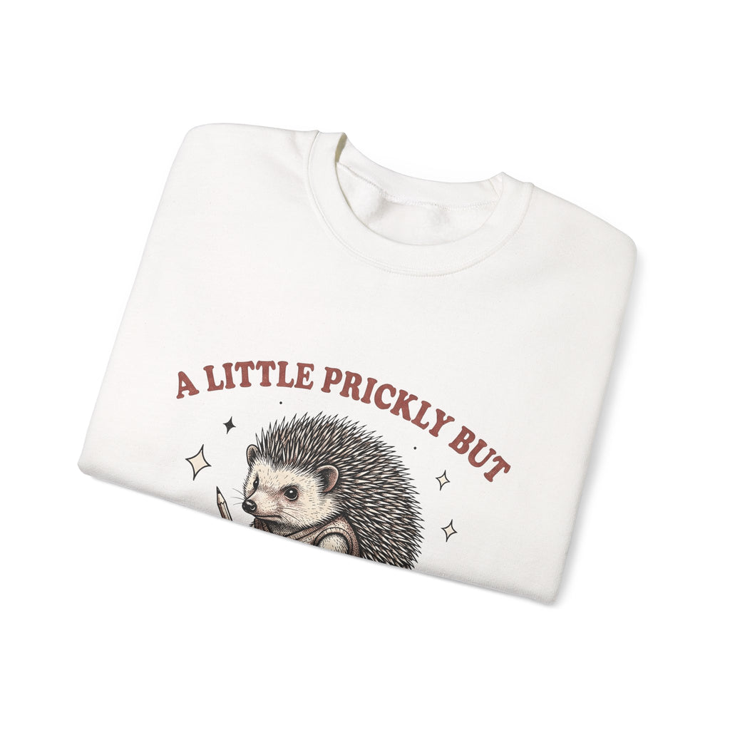 Hedgehog Design Sweatshirt Funny Pet Gift Women Cartoon Sweatshirt Porcupine Sweatshirt Comedy Fan Quirky Sweatshirt Animal Graphic Rustic Star Icons Sweatshirt