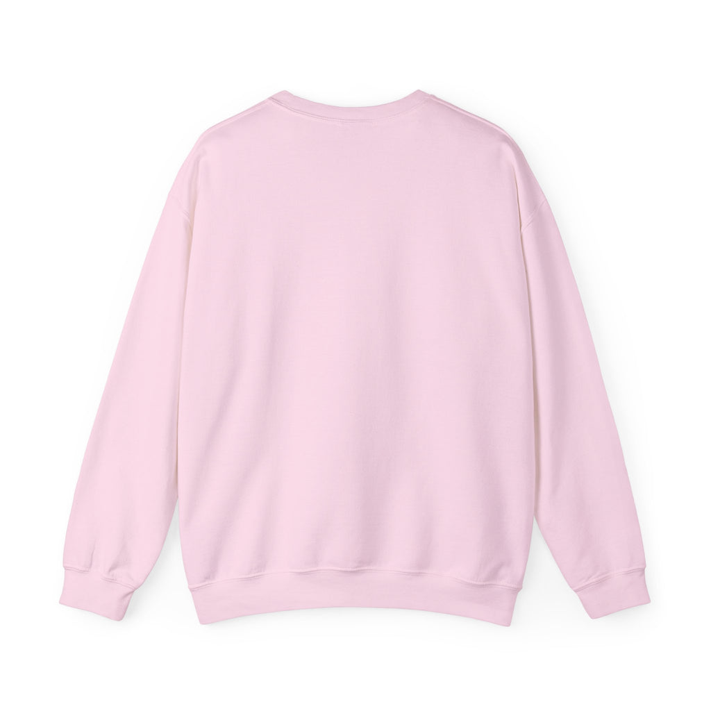 Flying Pigeon Sweatshirt Pickleball Animal Gift Women Vintage Sweatshirt Dove Sweatshirt Paddle Fan Retro Sweatshirt Creature Graphic Hand Drawn Wings Sweatshirt