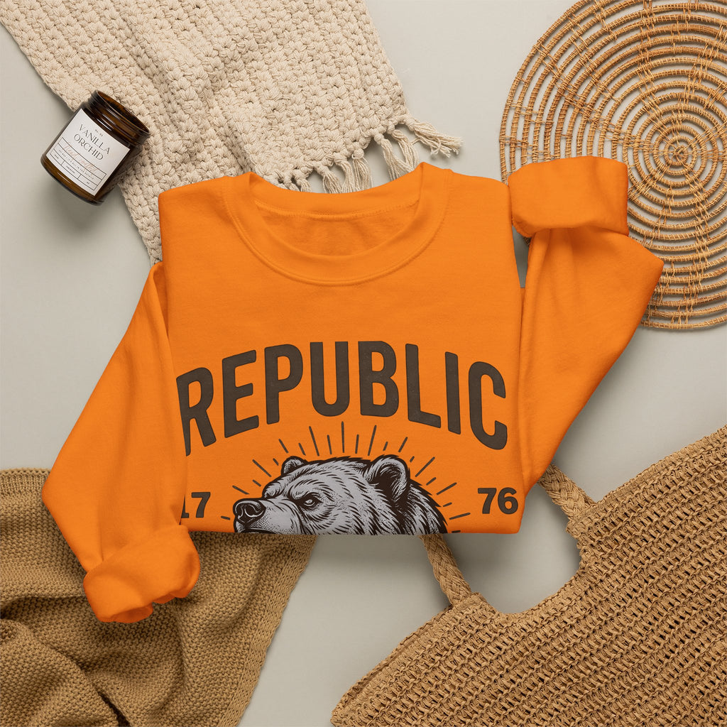 Bear Face Sweatshirt America Flag Gift Women Retro Sweatshirt Ursine Sweatshirt Patriot Fan Vintage Sweatshirt Banner Graphic Sketch Arrow Sweatshirt