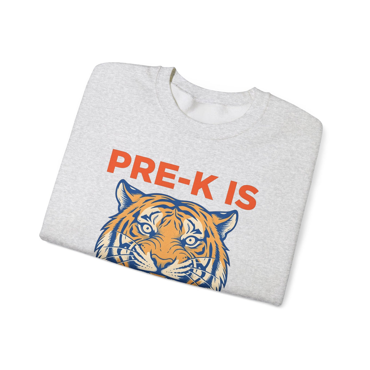 Tiger Head Teachers Classroom Gift Modern Tiger Educator Enthusiast Sweatshirt