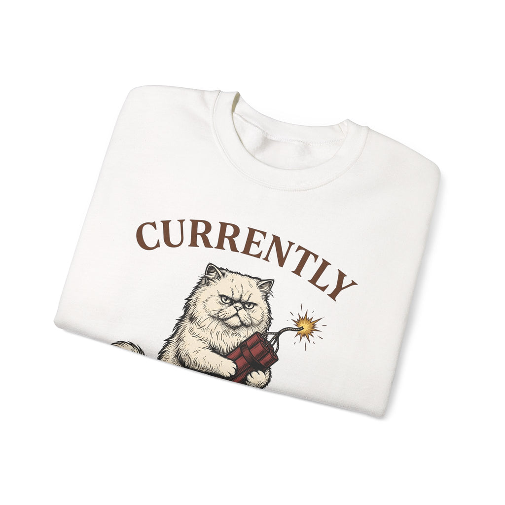 Upset Cat Sweatshirt Funny Wildlife Gift Women Old School Sweatshirt Angry Cat Sweatshirt Humor Fan Vintage Sweatshirt Animal Graphic Doodle Explosion Sweatshirt