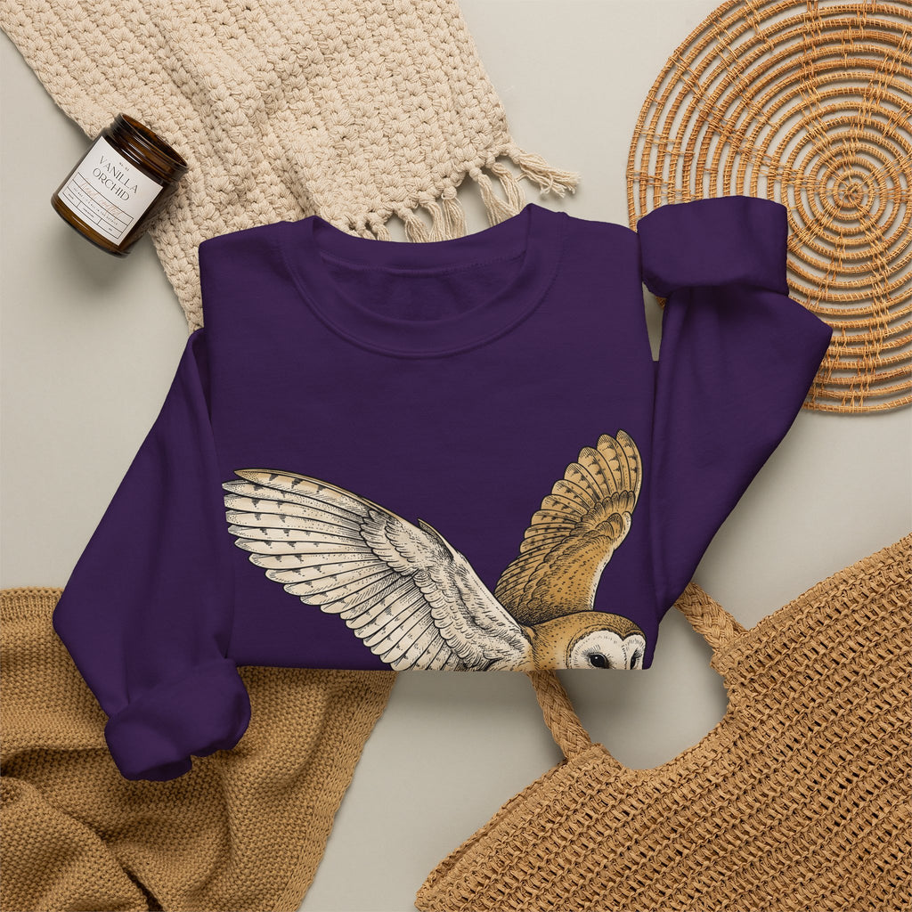 Barn Owl Sweatshirt Christmas Pets Gift Women Cartoon Sweatshirt Owl Sweatshirt Xmas Fan Owl Sweatshirt Animal Graphic Classic Globe Lights Sweatshirt