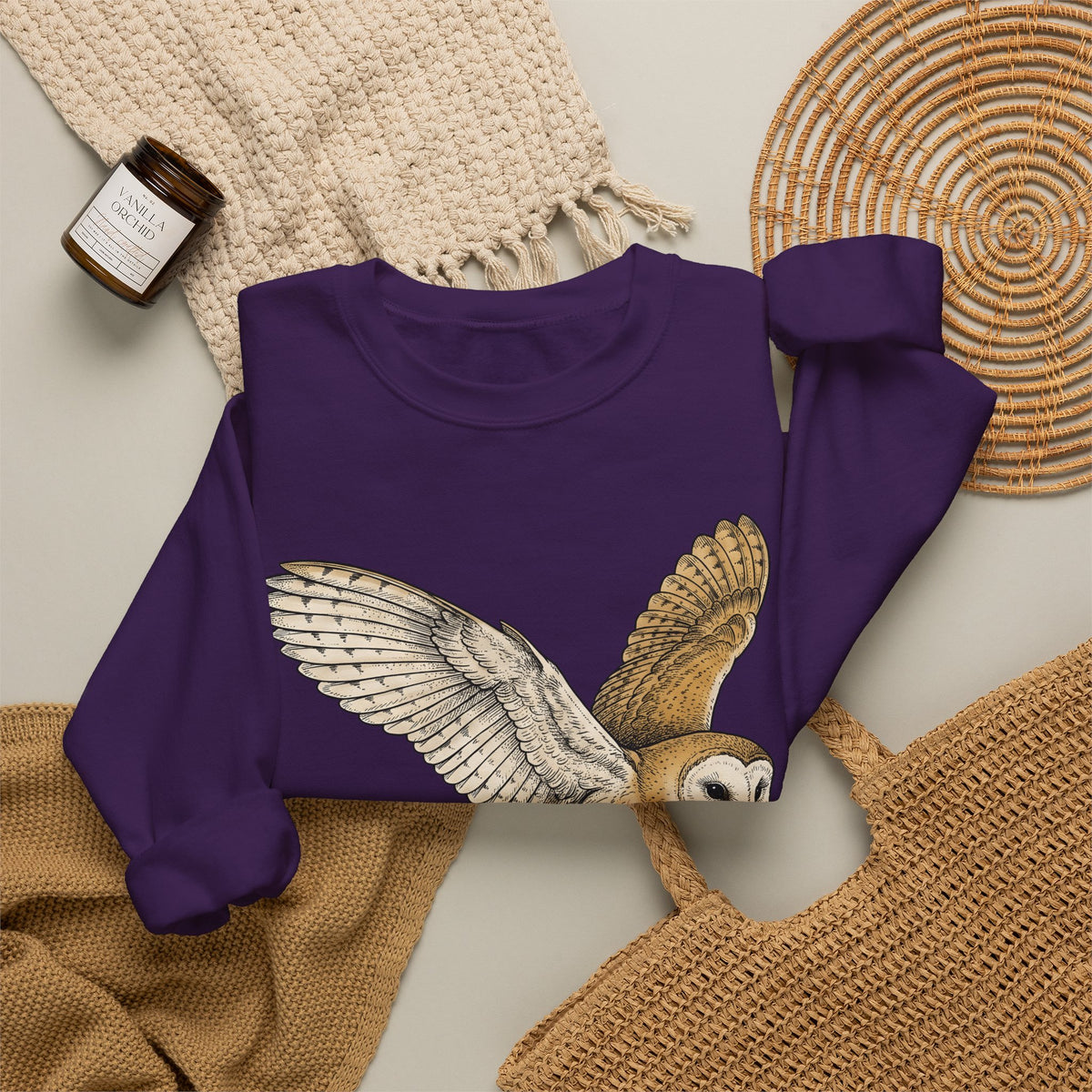 Barn Owl Sweatshirt Christmas Pets Gift Women Cartoon Sweatshirt Owl Sweatshirt Xmas Fan Owl Sweatshirt Animal Graphic Classic Globe Lights Sweatshirt