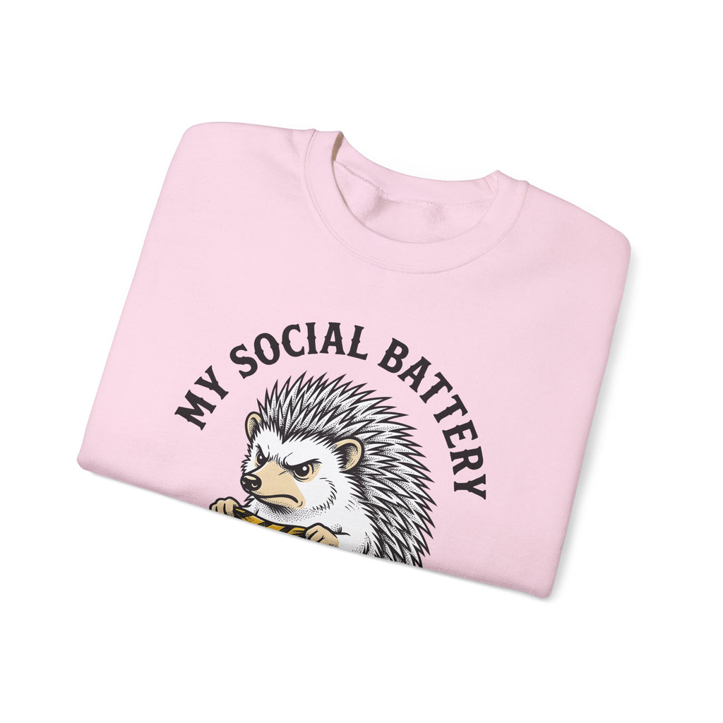 Mad Porcupine Sweatshirt Funny Wildlife Gift Women Comic Sweatshirt Porcupine Sweatshirt Humor Fan Cartoon Sweatshirt Animal Graphic Retro Patterned Necktie