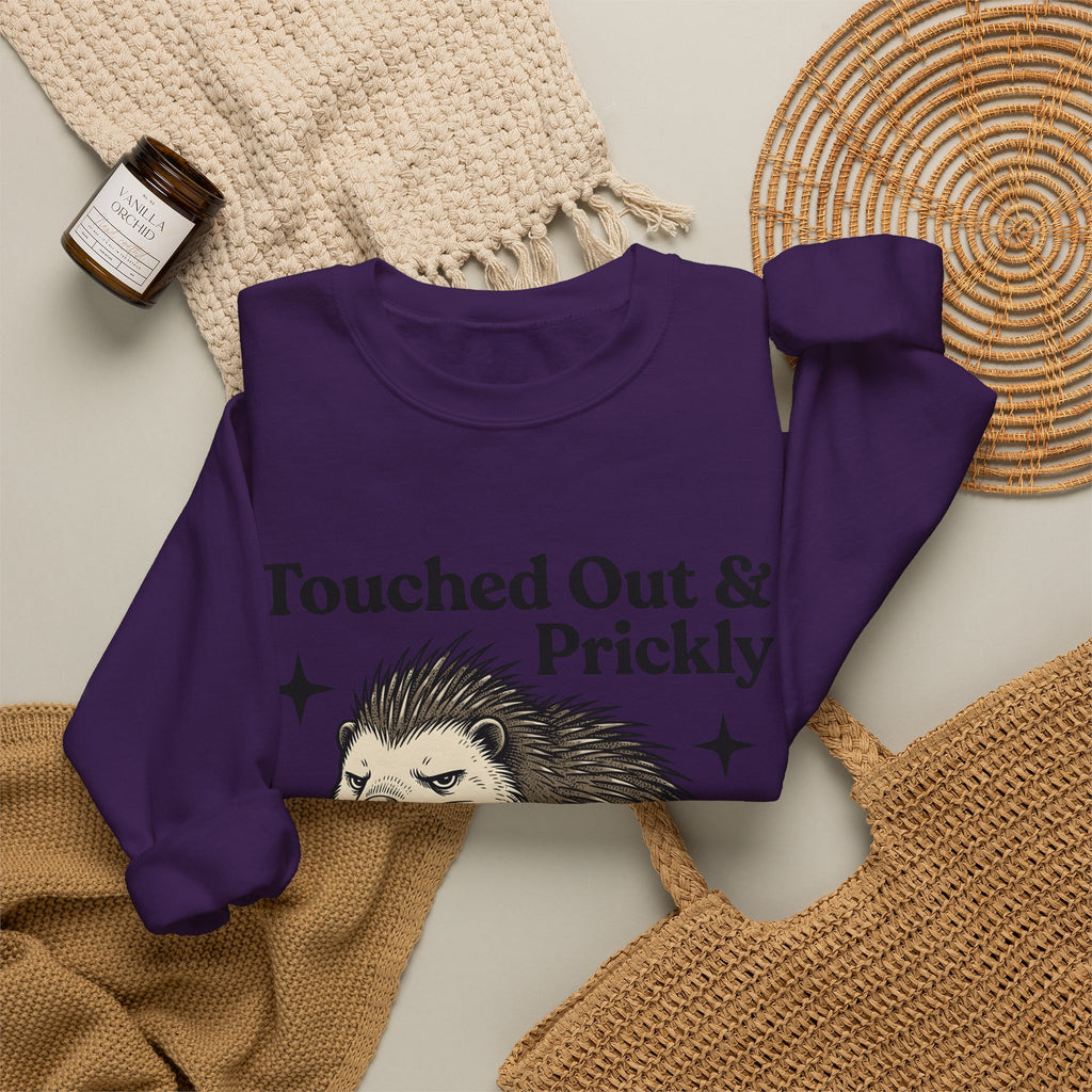 Grumpy Porcupine Sweatshirt Moms Humor Gift Women Hand Drawn Sweatshirt Quillpig Sweatshirt Motherhood Fan Illustrated Graphic Sweatshirt Vintage Stars Sweatshirt