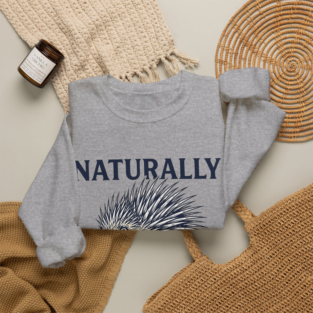 Porcupine Sweatshirt Animal Pun Humor Gift Women Hand Drawn Sweatshirt Hedgehog Sweatshirt Pun Fan Hand Drawn Sweatshirt Funny Graphic Vintage Quills Sweatshirt