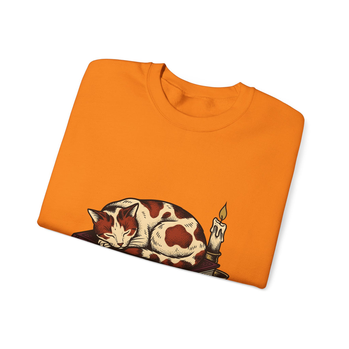 Dozing Cat Cat Pages Gift Old Fashioned Kitten Cat Fan Vintage Book Ink Stories Sweatshirt