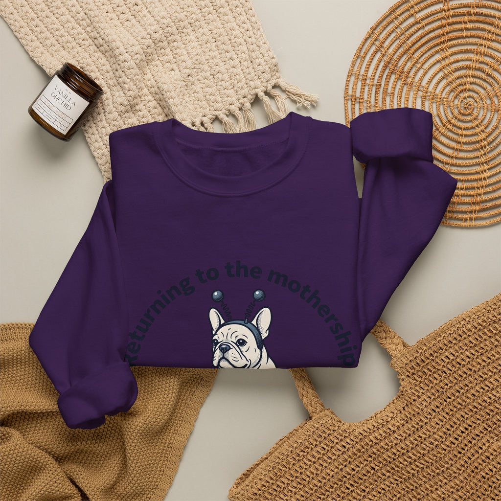 French Bulldog Rocket Sweatshirt Dog Jokes Gift Women Cartoon Sweatshirt Frenchie Sweatshirt Dog Fan Toon Sweatshirt Funny Graphic Vintage Satellite Sweatshirt