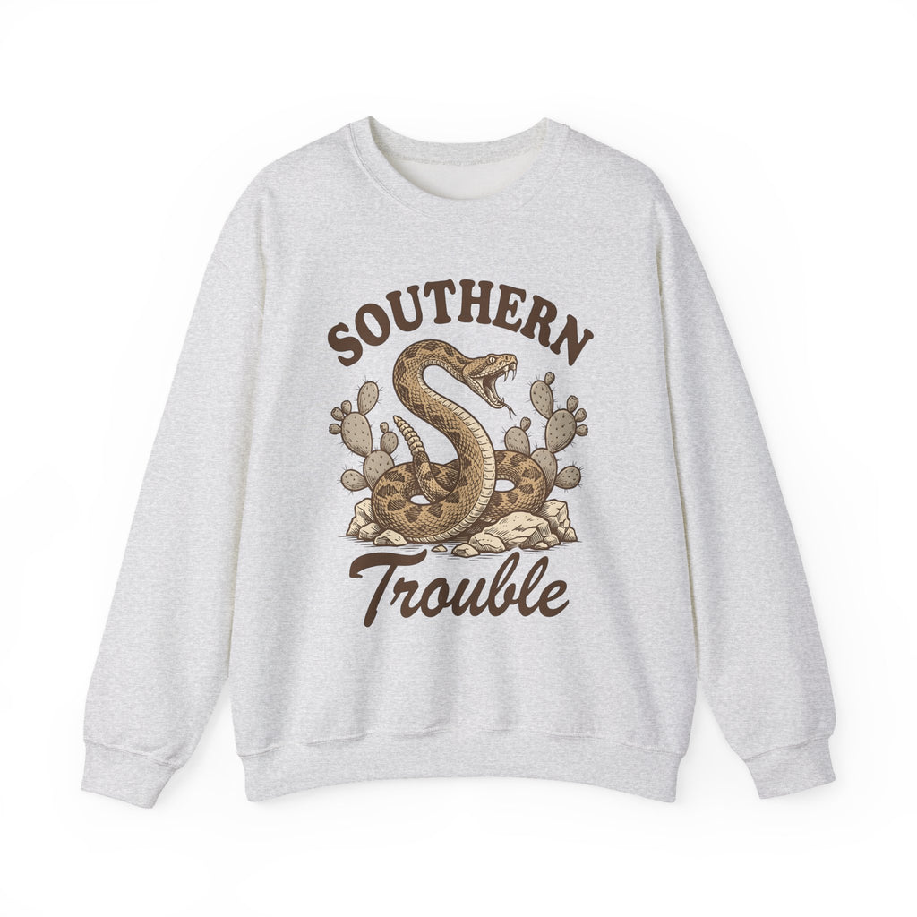 Rattlesnake Graphic Sweatshirt Cowgirl Southern Gift Women Vintage Sweatshirt Snake Sweatshirt Rodeo Fan Retro Sweatshirt Dixie Graphic Western Cactus Sweatshirt