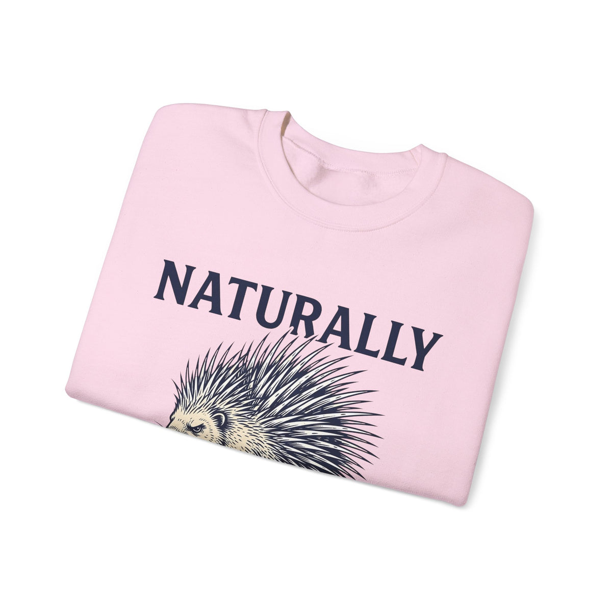 Porcupine Sweatshirt Animal Pun Humor Gift Women Hand Drawn Sweatshirt Hedgehog Sweatshirt Pun Fan Hand Drawn Sweatshirt Funny Graphic Vintage Quills Sweatshirt