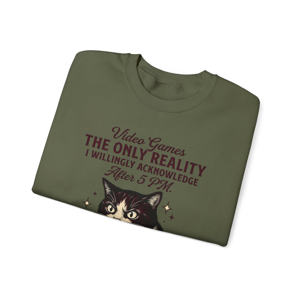 Cat Gamer Sweatshirt Cat Consoles Gift Women Cartoon Sweatshirt Gamer Sweatshirt Cat Fan Feline Sweatshirt Console Graphic Doodle Joystick Sweatshirt