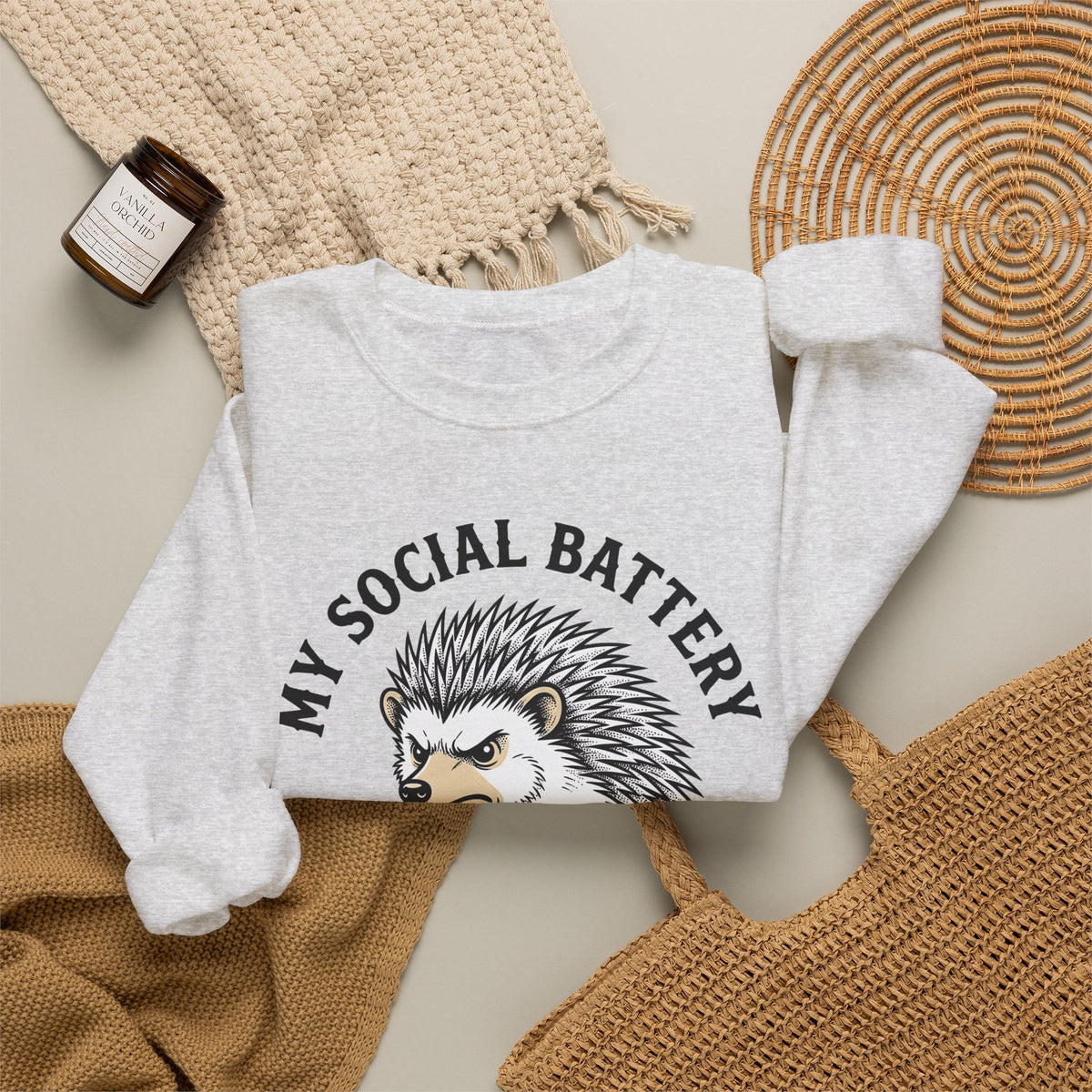 Mad Porcupine Sweatshirt Funny Wildlife Gift Women Comic Sweatshirt Porcupine Sweatshirt Humor Fan Cartoon Sweatshirt Animal Graphic Retro Patterned Necktie