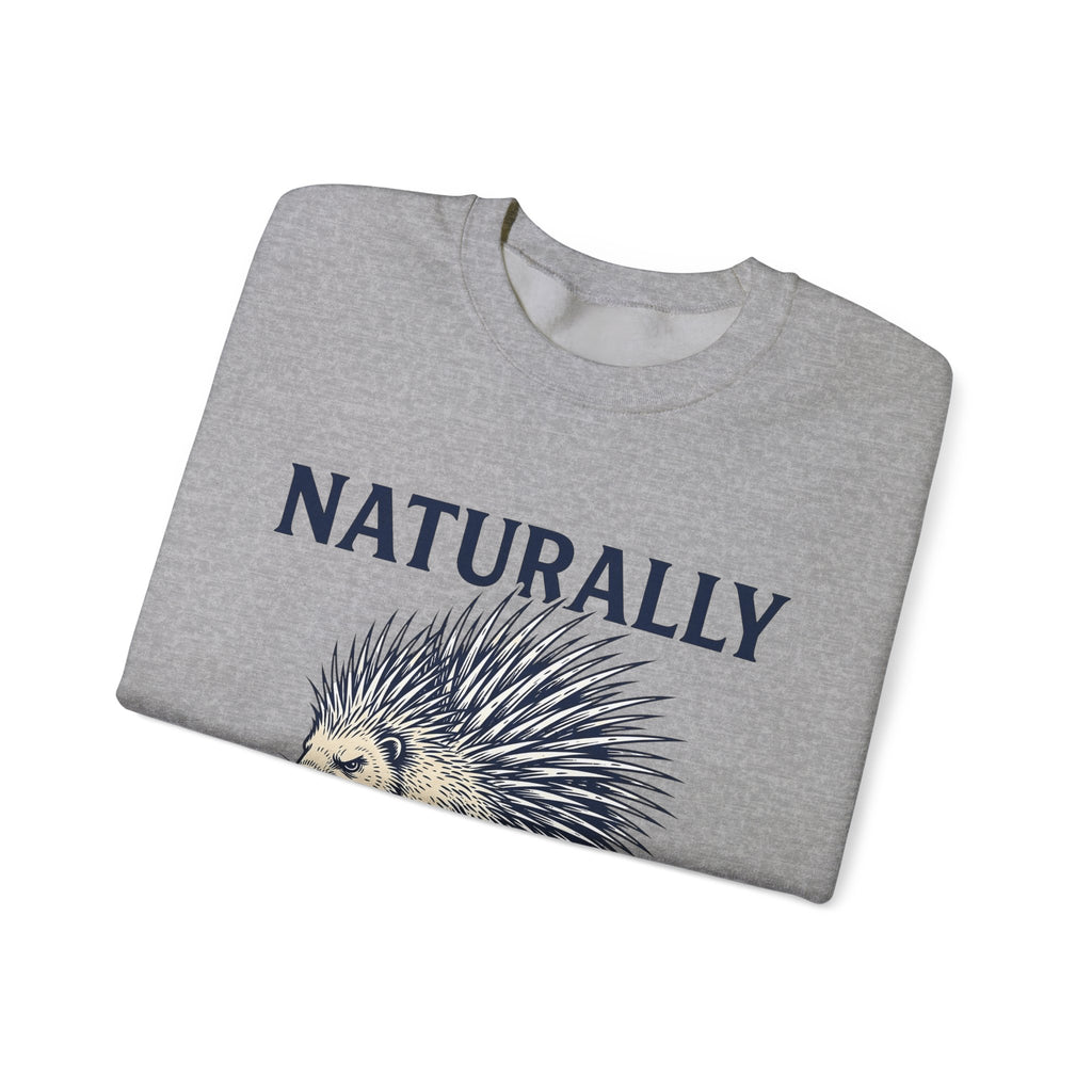 Porcupine Sweatshirt Animal Pun Humor Gift Women Hand Drawn Sweatshirt Hedgehog Sweatshirt Pun Fan Hand Drawn Sweatshirt Funny Graphic Vintage Quills Sweatshirt