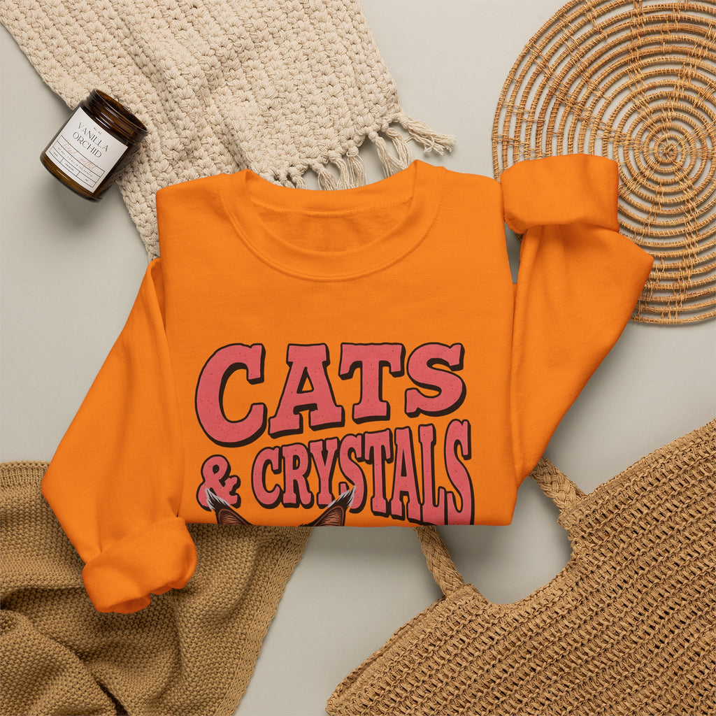 Maine Coon Kitten Sweatshirt Cat Metaphysical Gift Women Graphic Sweatshirt Kitten Sweatshirt Cat Fan Feline Sweatshirt Spiritual Design Mystical Graphic Retro